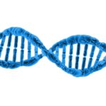 dna-163710_1280